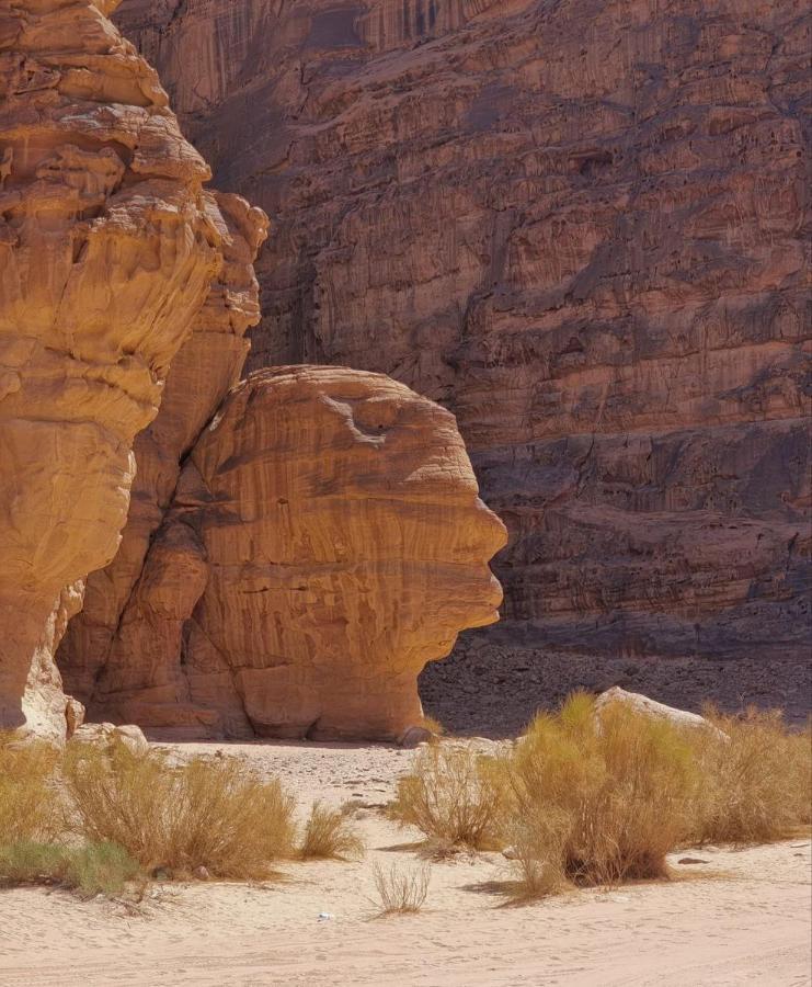 Amanda Luxury Camp Hotel Wadi Rum Exterior foto
